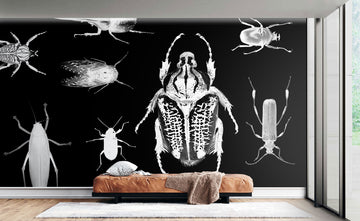 Bug Hunter